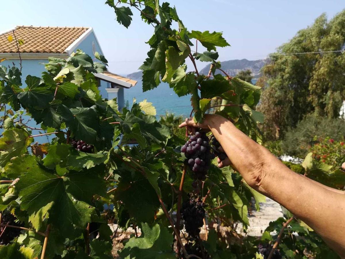 Cozy Apartment Few Mins From Beach Corfu Άγιος Γεώργιος Πάγων Εξωτερικό φωτογραφία