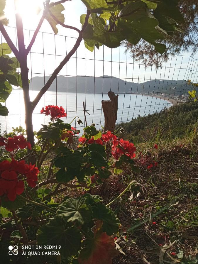 Cozy Apartment Few Mins From Beach Corfu Άγιος Γεώργιος Πάγων Εξωτερικό φωτογραφία